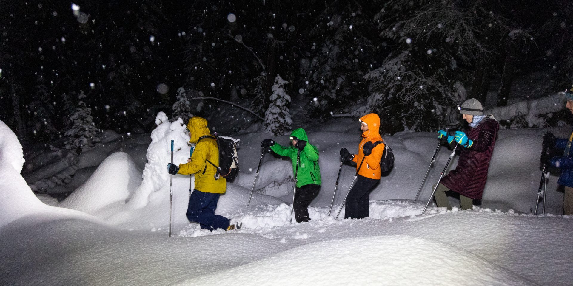 New Year night snowshoe excursion 2026!