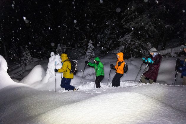New Year night snowshoe excursion 2026!