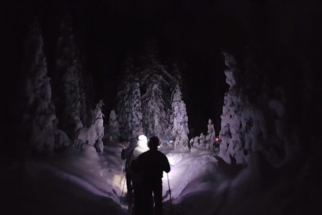 “Fairy Night” snowshoe evening excursion with dinner at a mountain hut