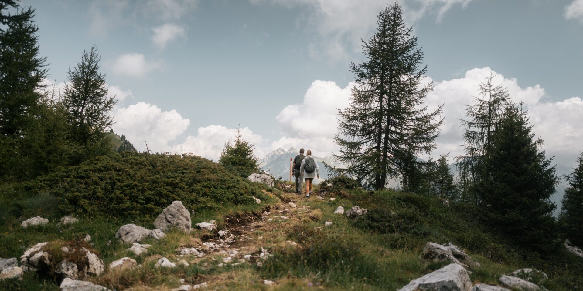 Trails and flavours- Traditions, Taste, and Territory