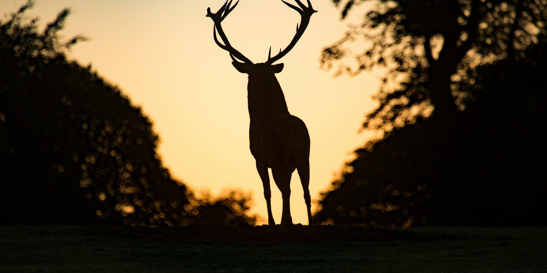 Wild experience – Unseen Nature at sunset